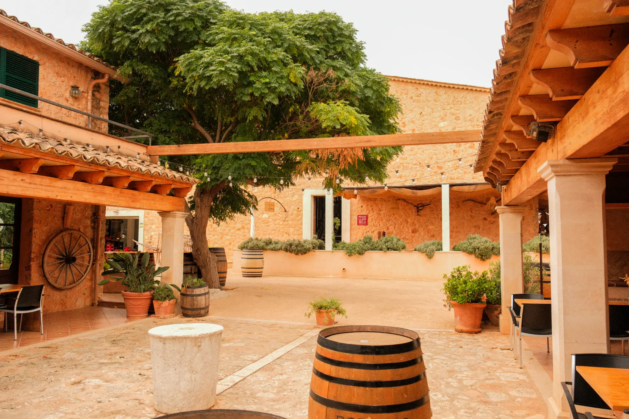 The courtyard of a small family-run inn, a tree shading the terrace tables